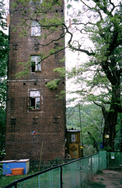 06.jpg