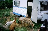 07.jpg