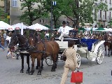 cimg2767.jpg