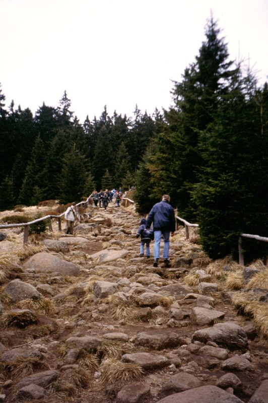 10_brockenwanderung.jpg