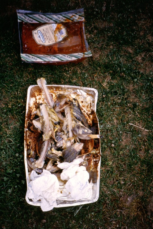 15_rauchfisch.jpg